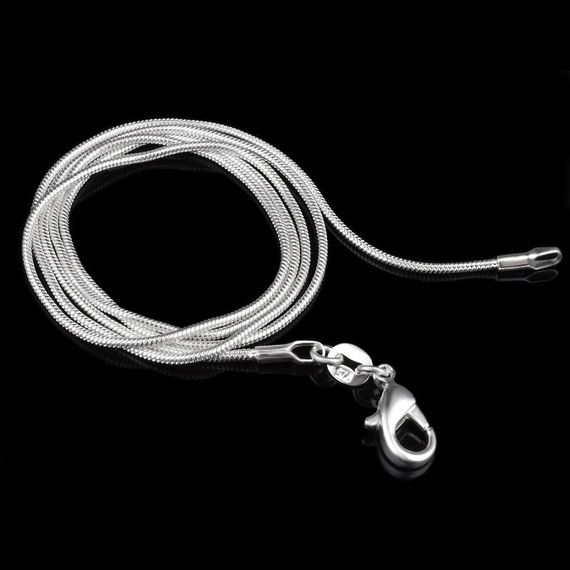 Geen verzendkosten! Groothande - Lobster Clasp Silver recensie en prijs