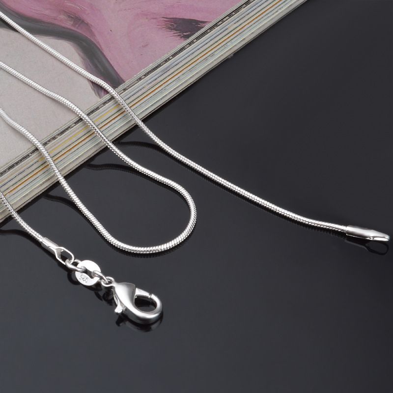Geen verzendkosten! Groothande - Lobster Clasp Silver recensie en prijs